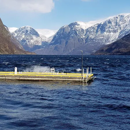 Otel Marina Flåm